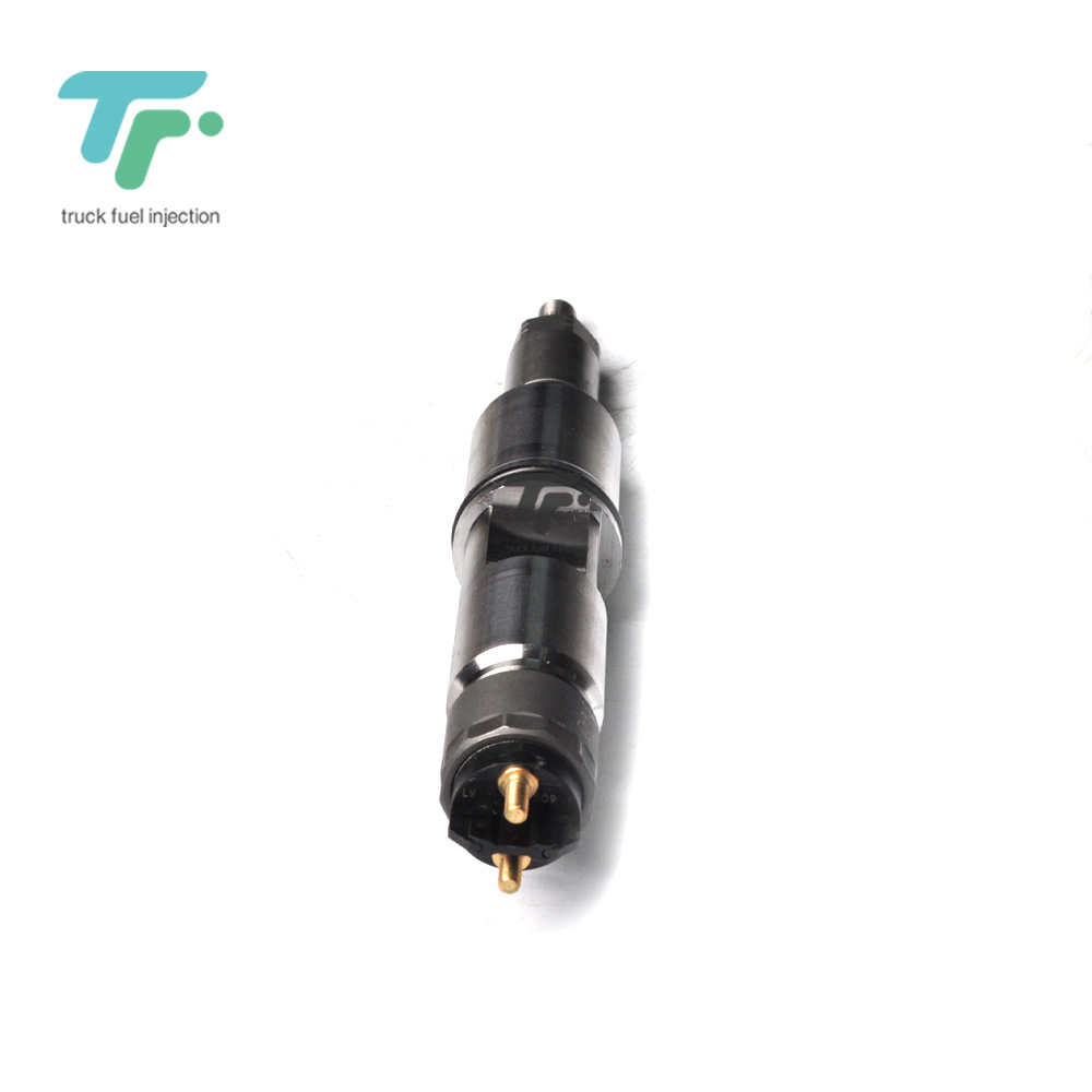 0445120309 Fuel Injection - Common Rail Truck Fuel Injection
