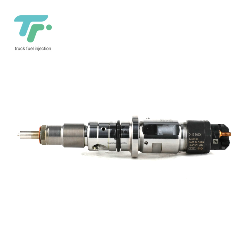 Y1T30445120289 (2) - Common Rail Truck Fuel Injection