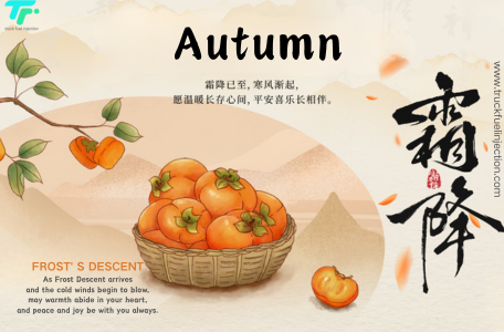 Common Rail Truck Fuel Injection - News